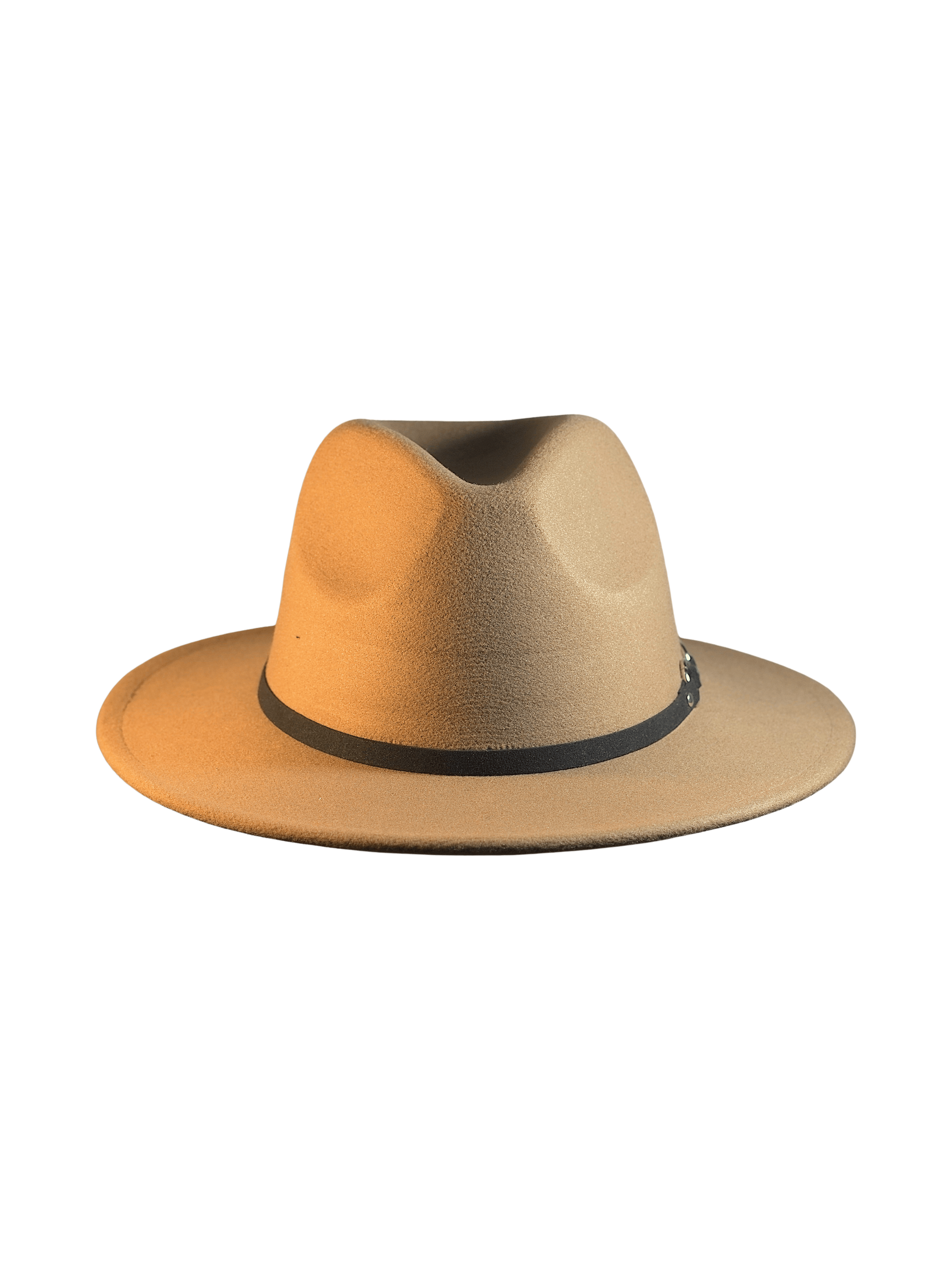 ستيفي
